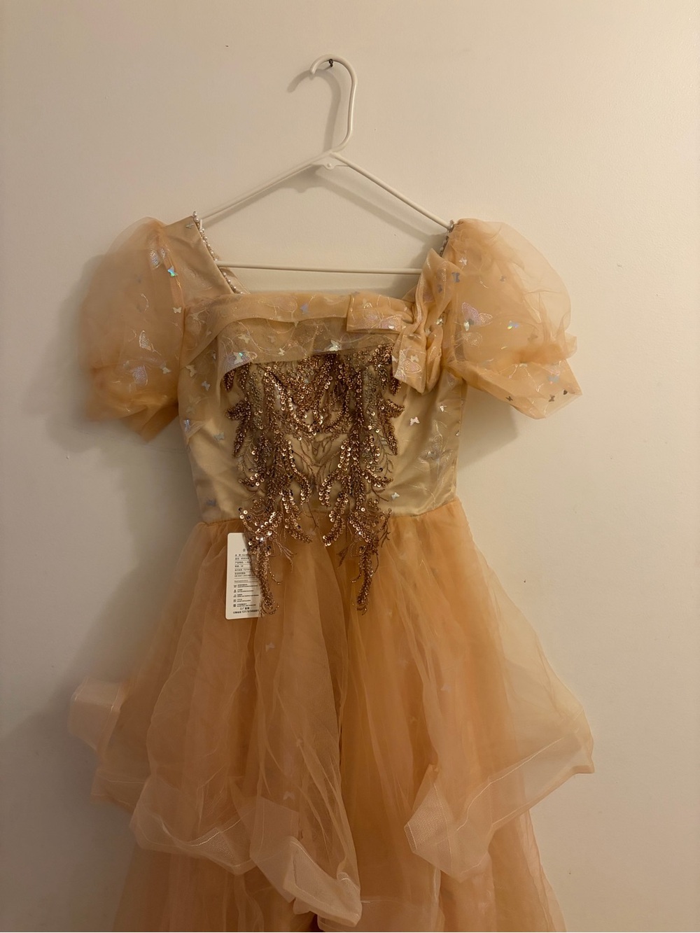 Peach-colored tulle dress with puffed sleeves and gold embroidered detailing